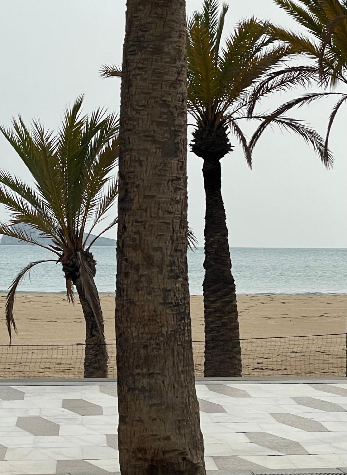 Casa Holiday Finestrat - 3 Bedroom Flat With Common Pool 외부 사진